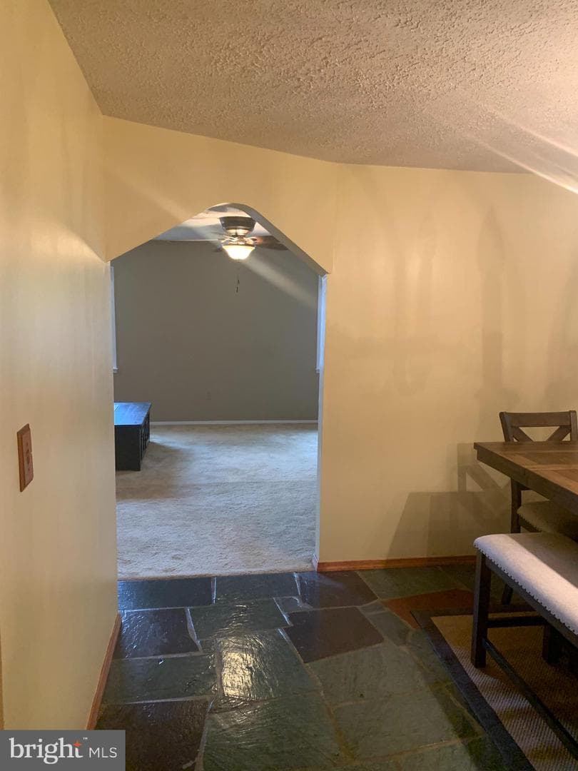 2711 Kirk Lane photo 49