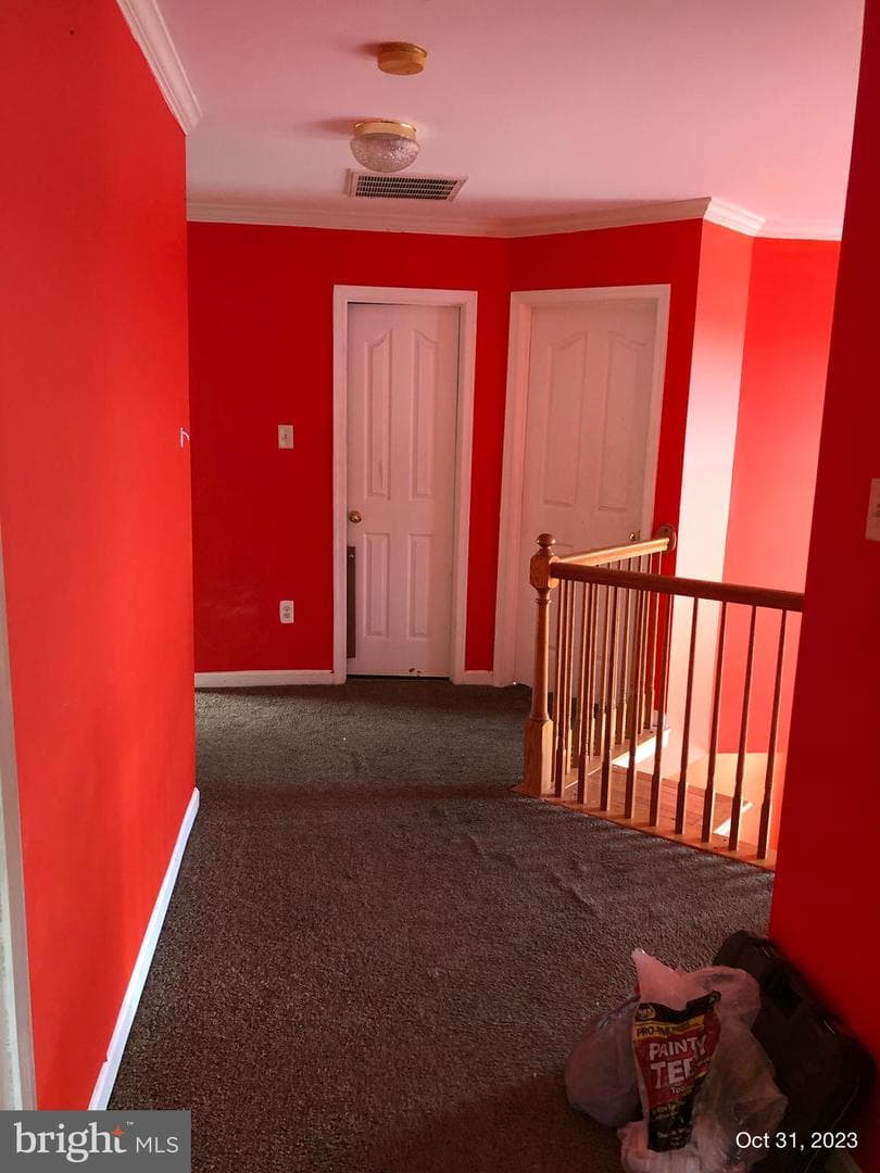 10813 Trillum Terrace photo 3