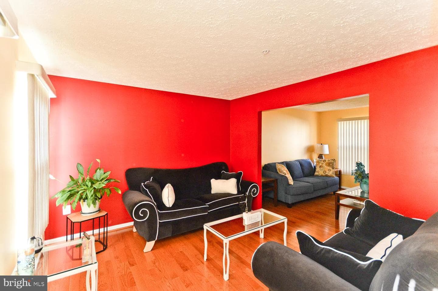 9729 Natalie Drive S photo 5