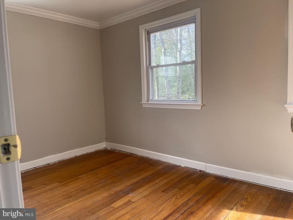 6204 McKay Drive photo 5