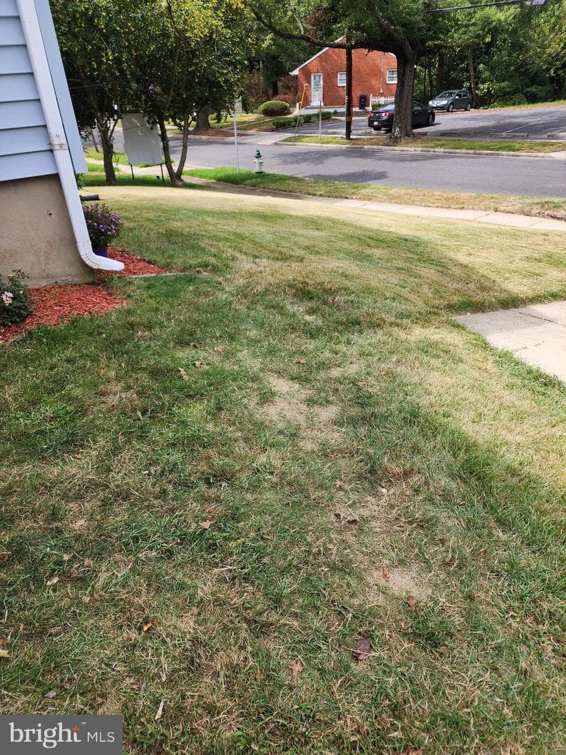 1203 Crisfield Drive photo 53