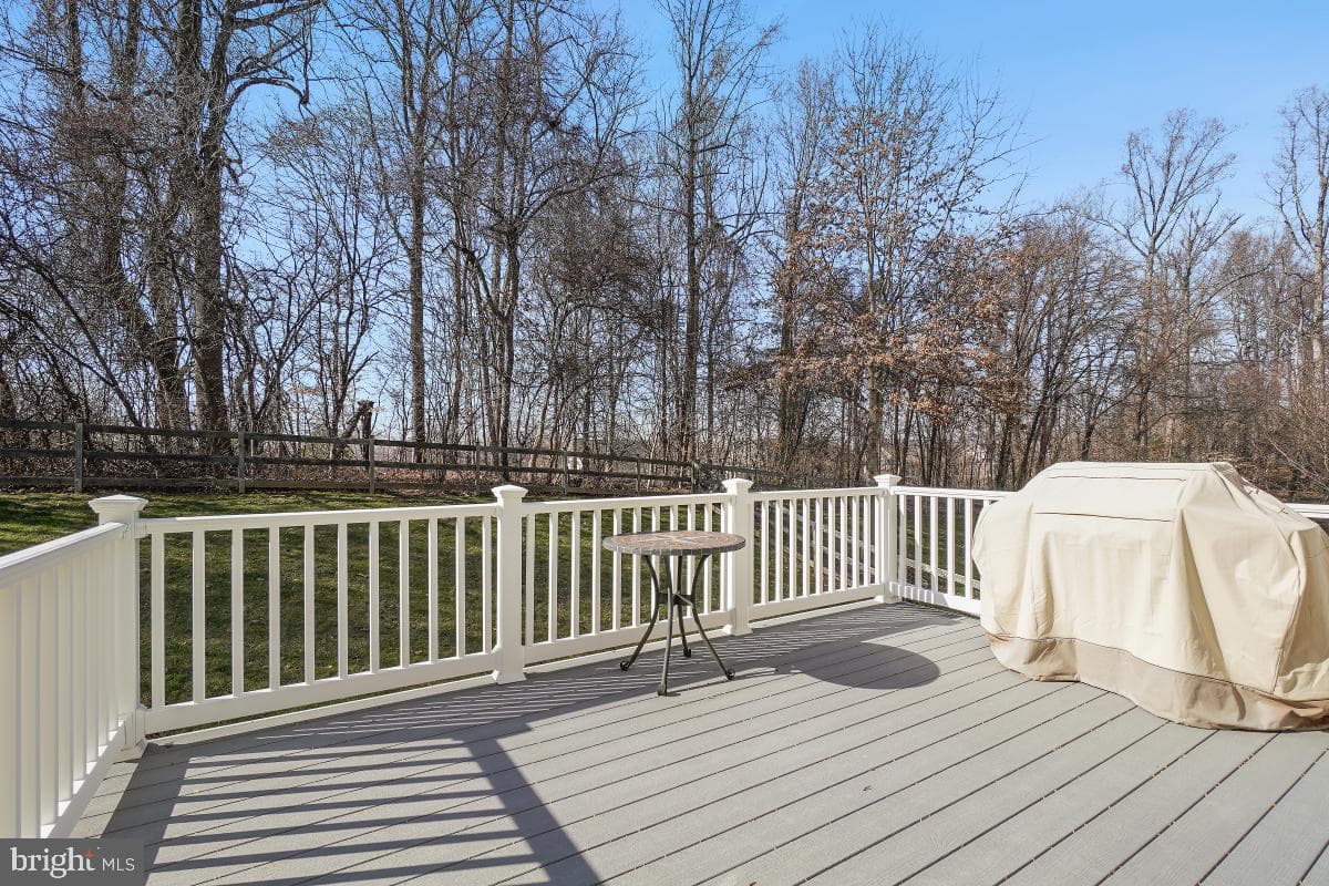 15615 Copper Beech Drive photo 42