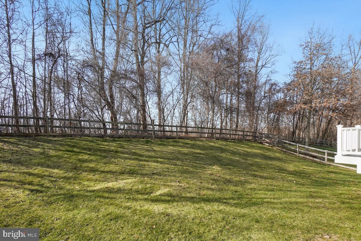 15615 Copper Beech Drive photo 43