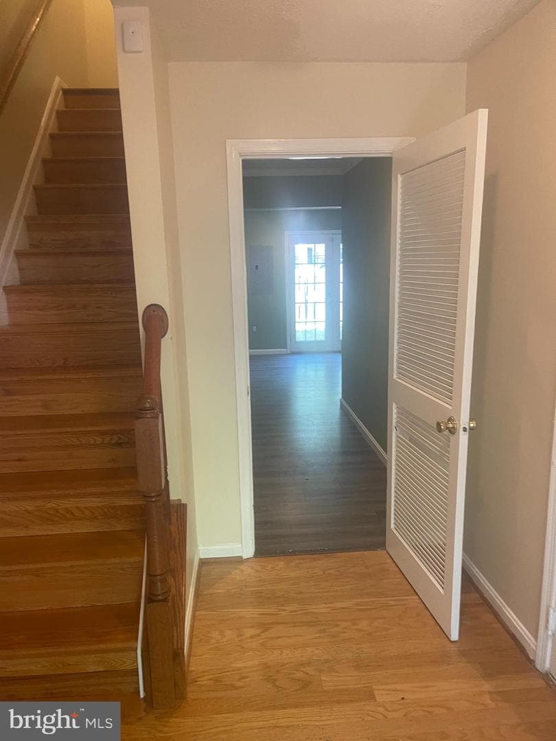 705 Risa Road photo 3