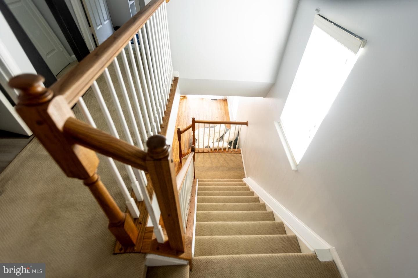 3201 Scarlet Oak Terrace photo 10