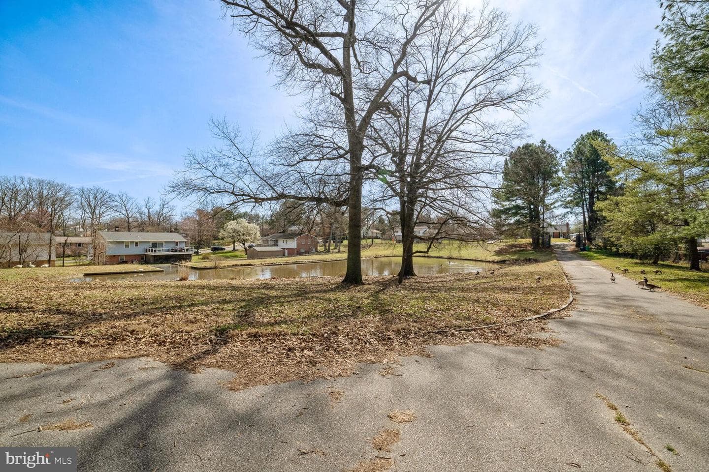 15706 Bond Mill Road photo 9
