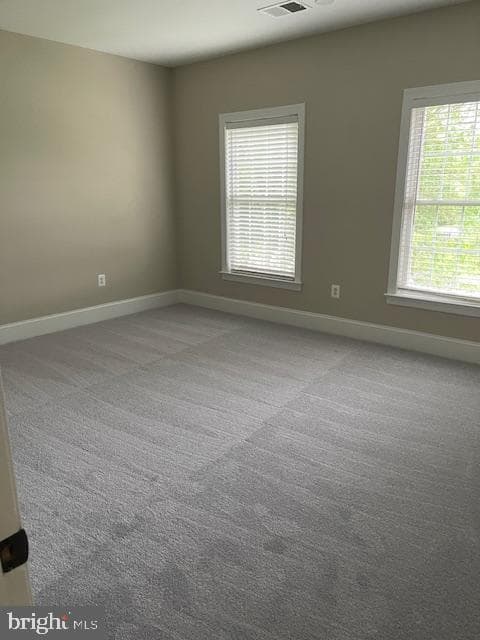 16603 Pleasant Colony Drive photo 29