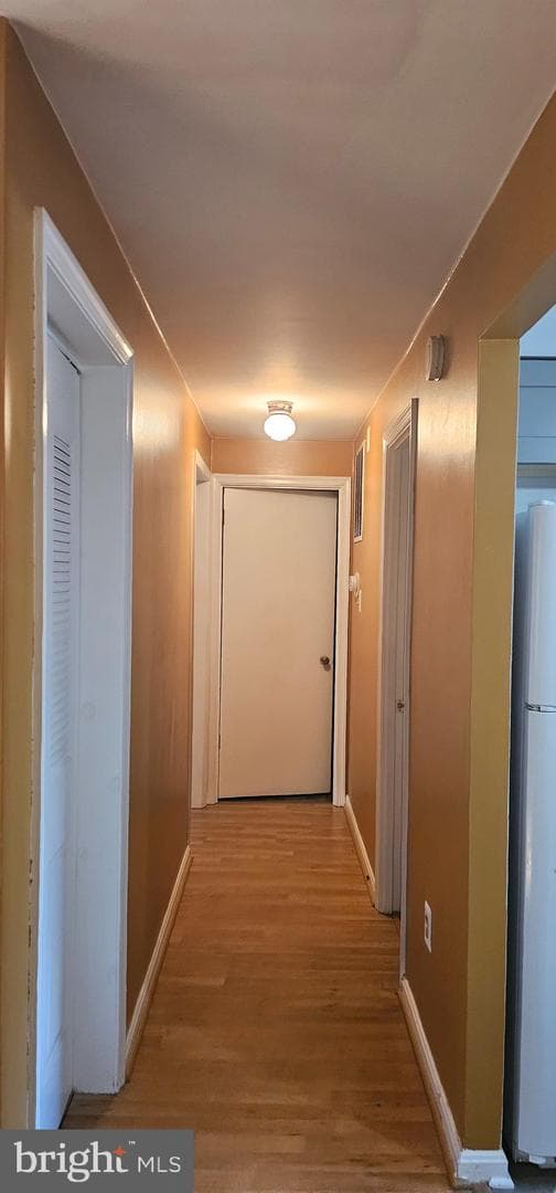 7208 Sybaris Drive photo 2