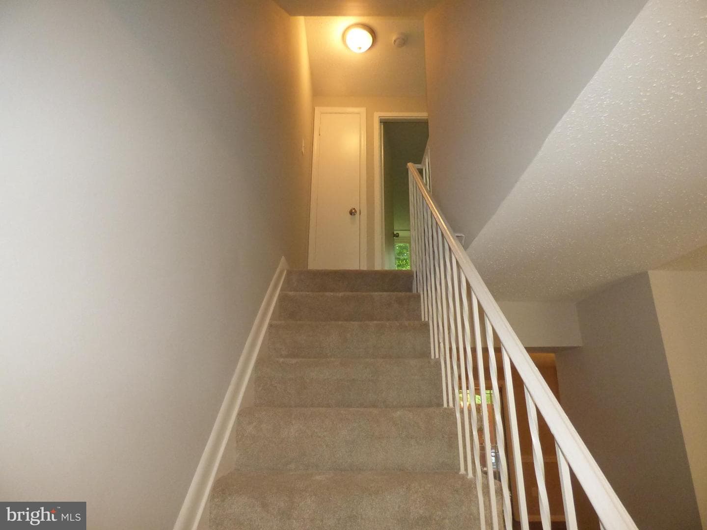1778 Dutch Village Drive #p-296 photo 18