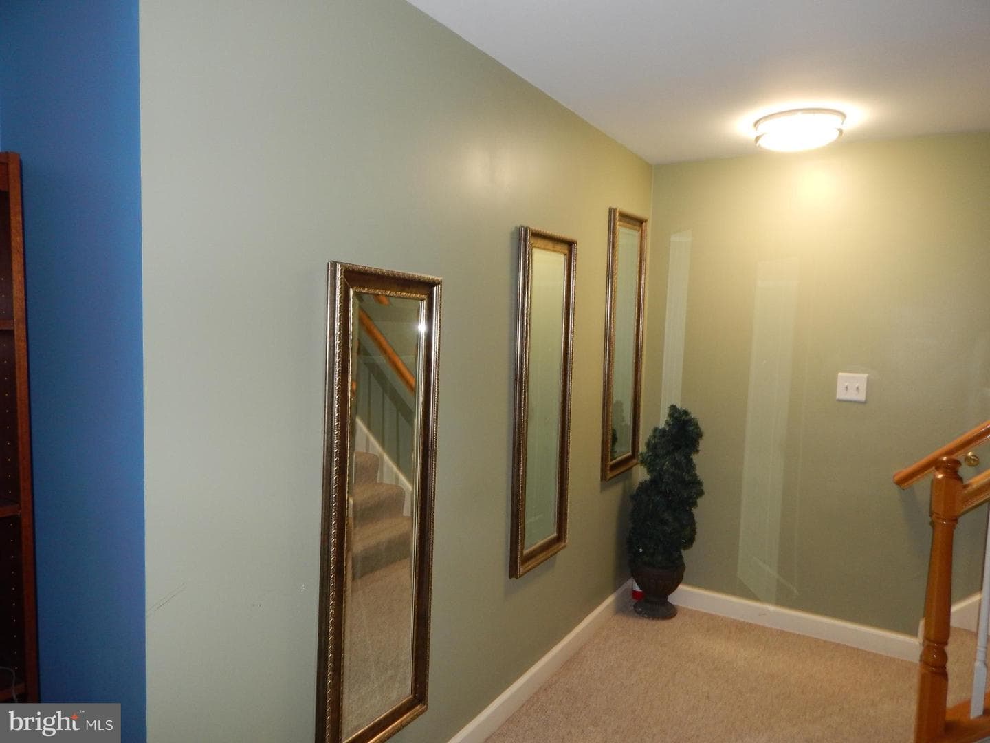 9203 Sumner Grove Drive photo 40