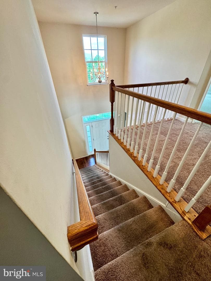 6500 Dunnigan Drive photo 20