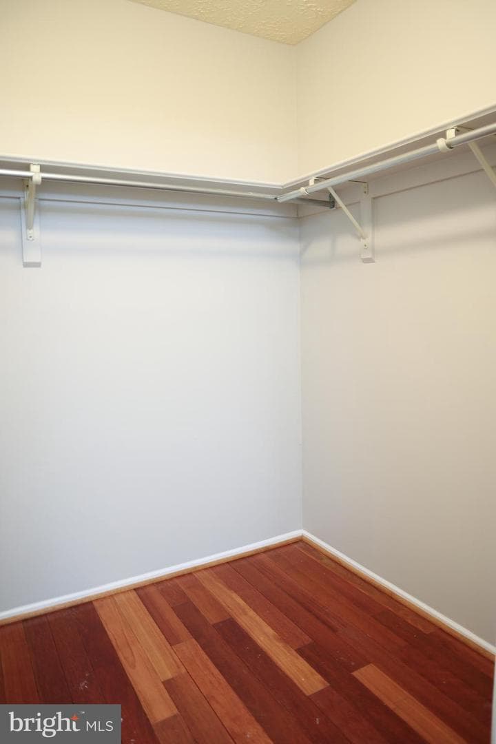 10813 Winston Churchill Court photo 25
