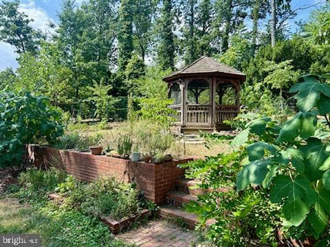 10106 Towhee Avenue photo 21