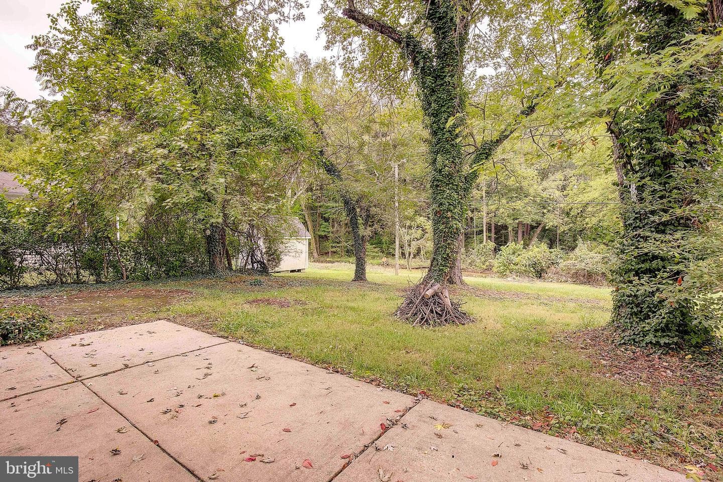 2618 Felter Lane photo 33