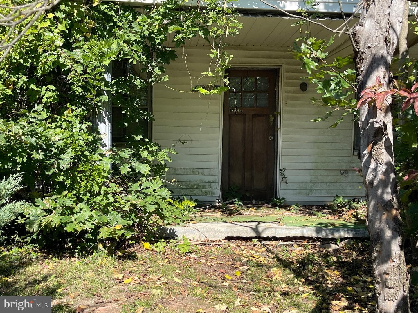 1515 Rollins Avenue photo 11