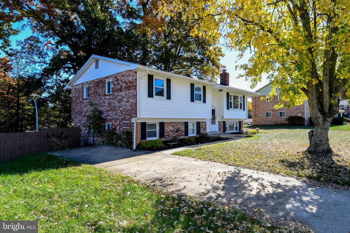 7706 Gambier Drive photo 4