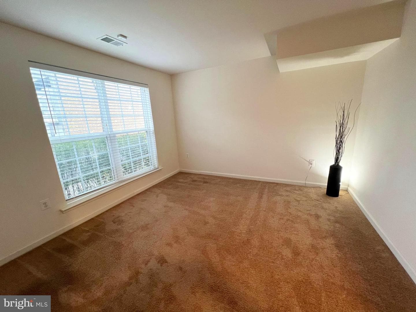 5603 Manor Park Drive photo 5