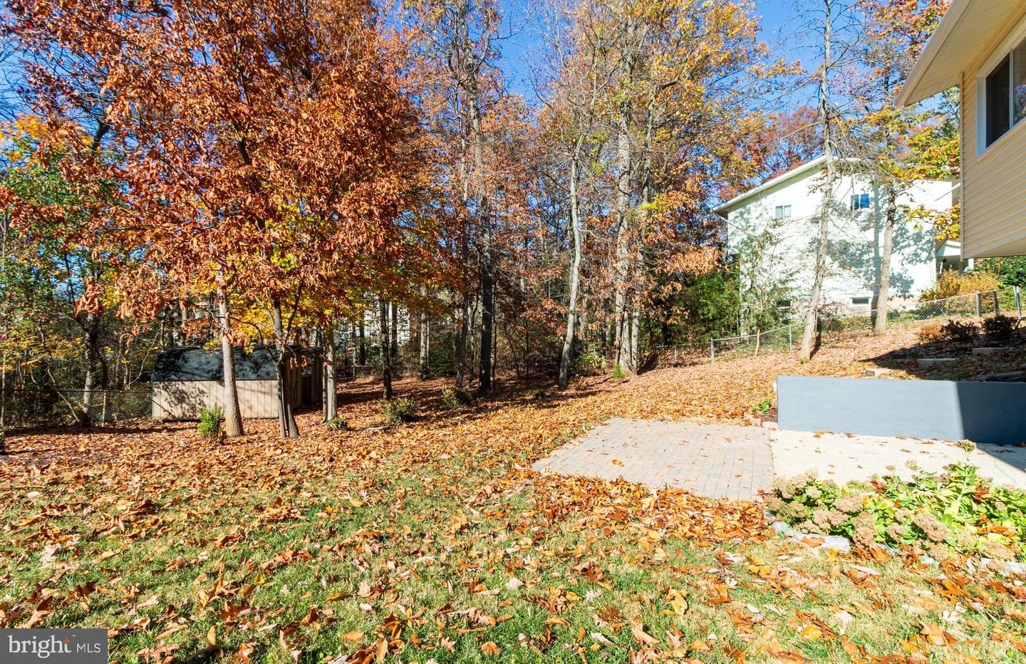 101 White Birch Court photo 20