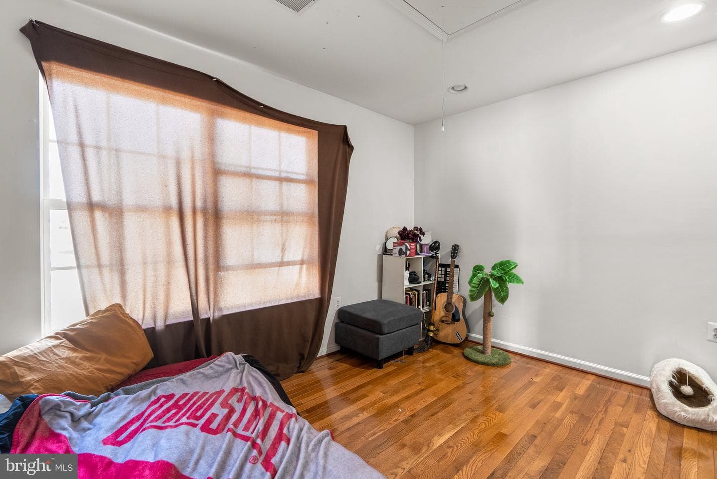 10018 Erion Court photo 37