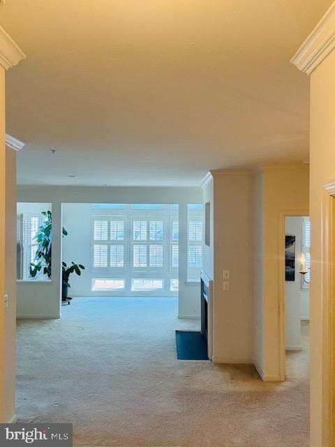 12916 Fox Bow Drive #407 photo 19