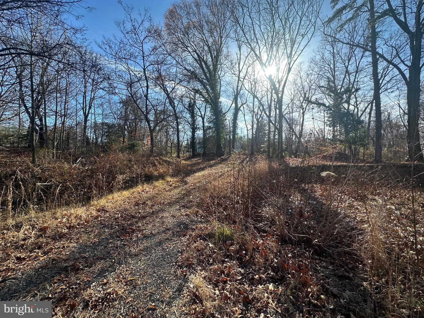 6814 Temple Hill Road photo 21
