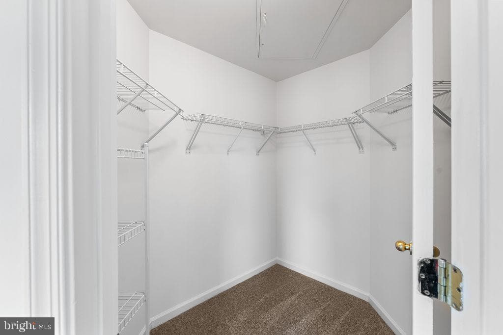 12402 Open View Lane #1402 photo 18