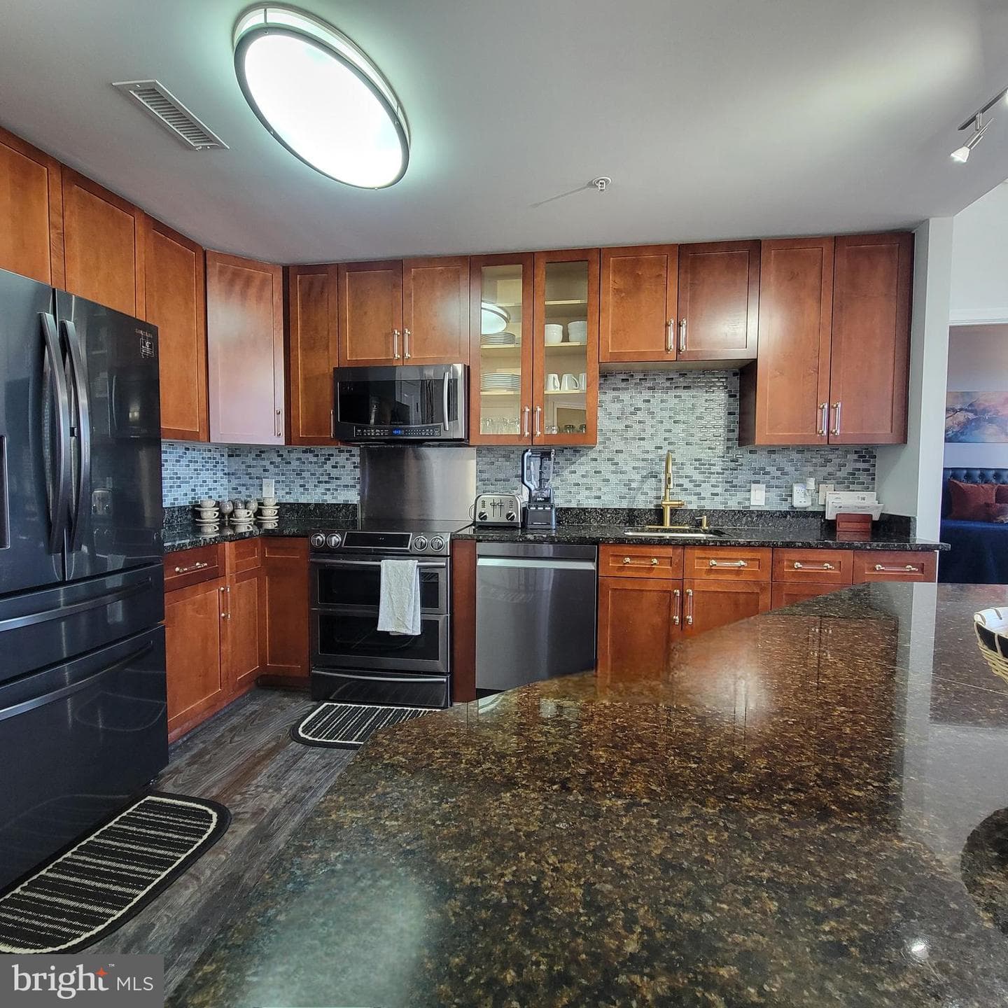 155 Potomac Passage #630 photo 8