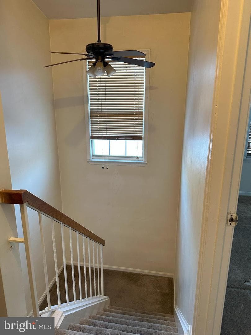 1727 Forest Park Drive photo 17