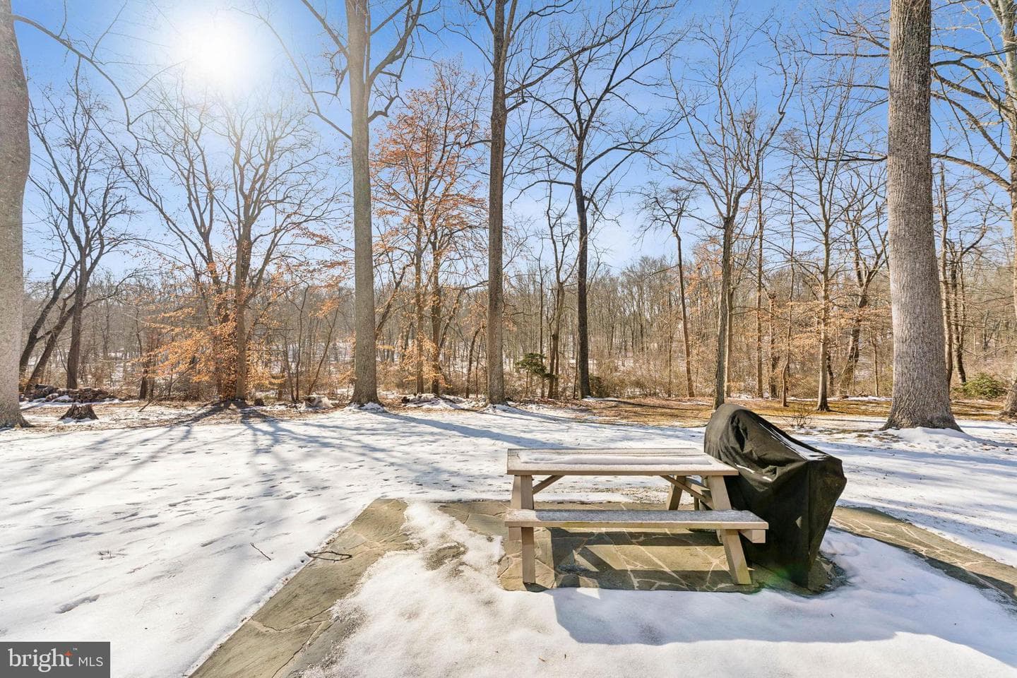 10205 Bald Hill Road photo 36