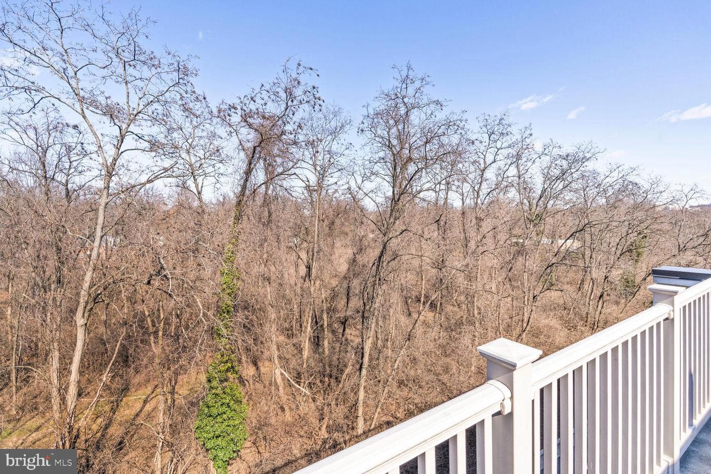 4606 Woodberry Street photo 22