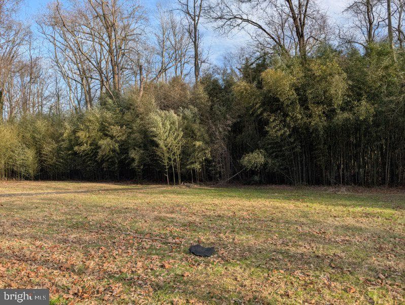 12411 Thompson Road photo 2