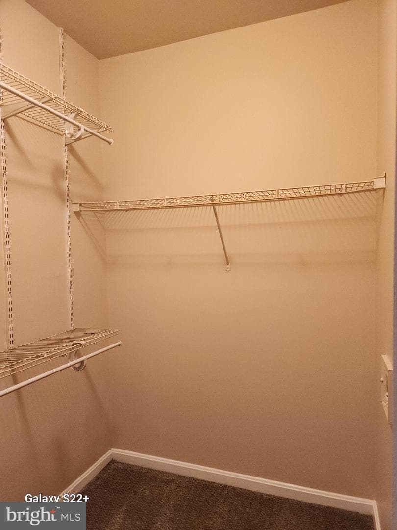 801 English Chestnut Drive #1 photo 17