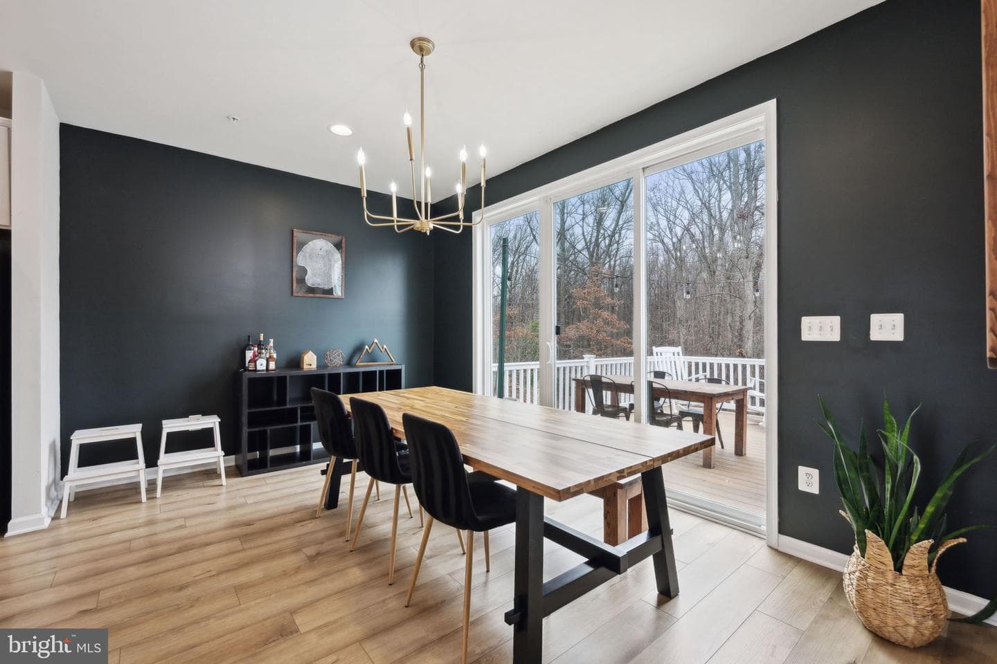 1008 Overlook Way photo 7