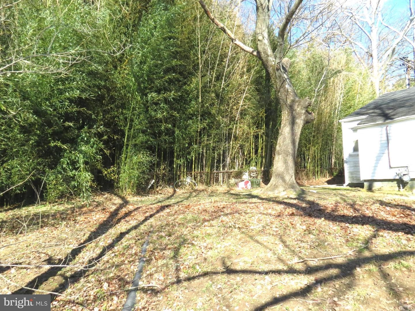 2310 Tuemmler photo 32