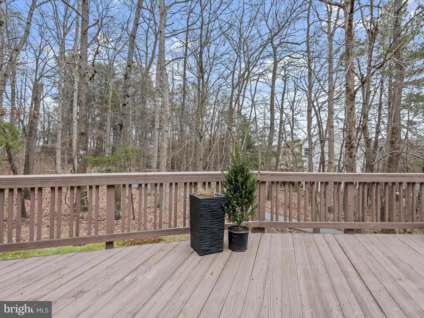 12028 Quartette Lane photo 36