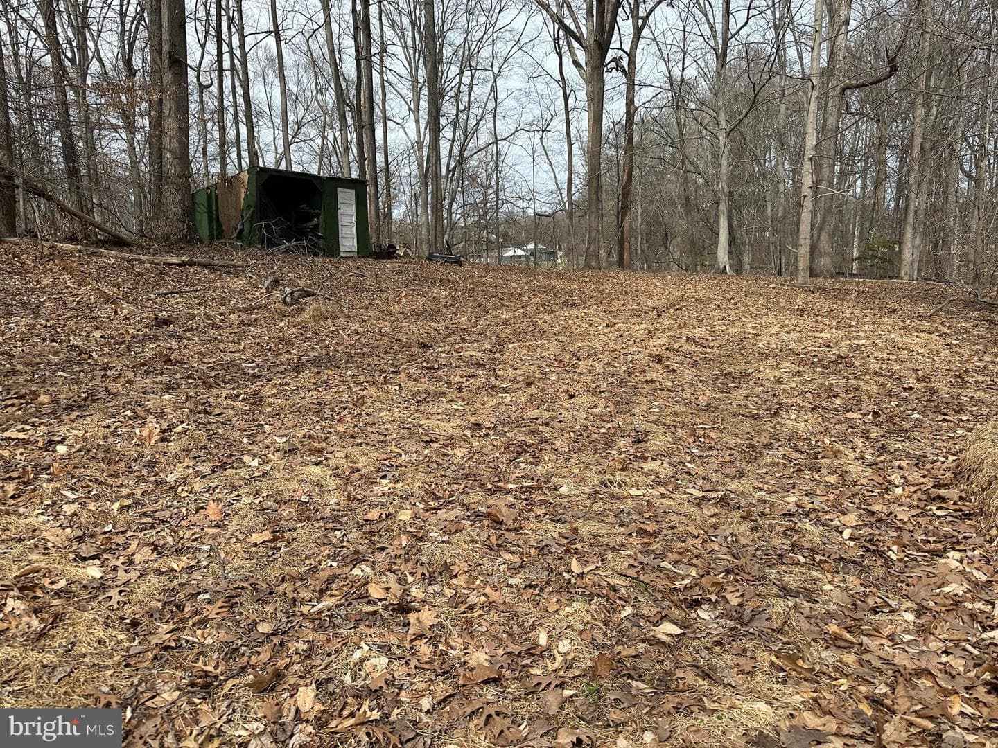 14500 Thorpe Lane photo 31