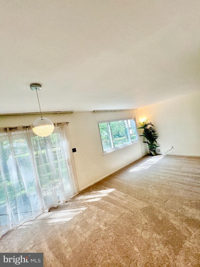 8924 Bluffwood Lane photo 16