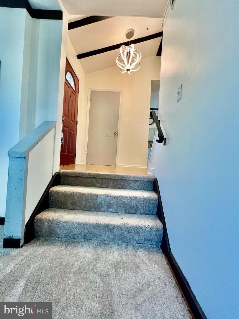8924 Bluffwood Lane photo 18