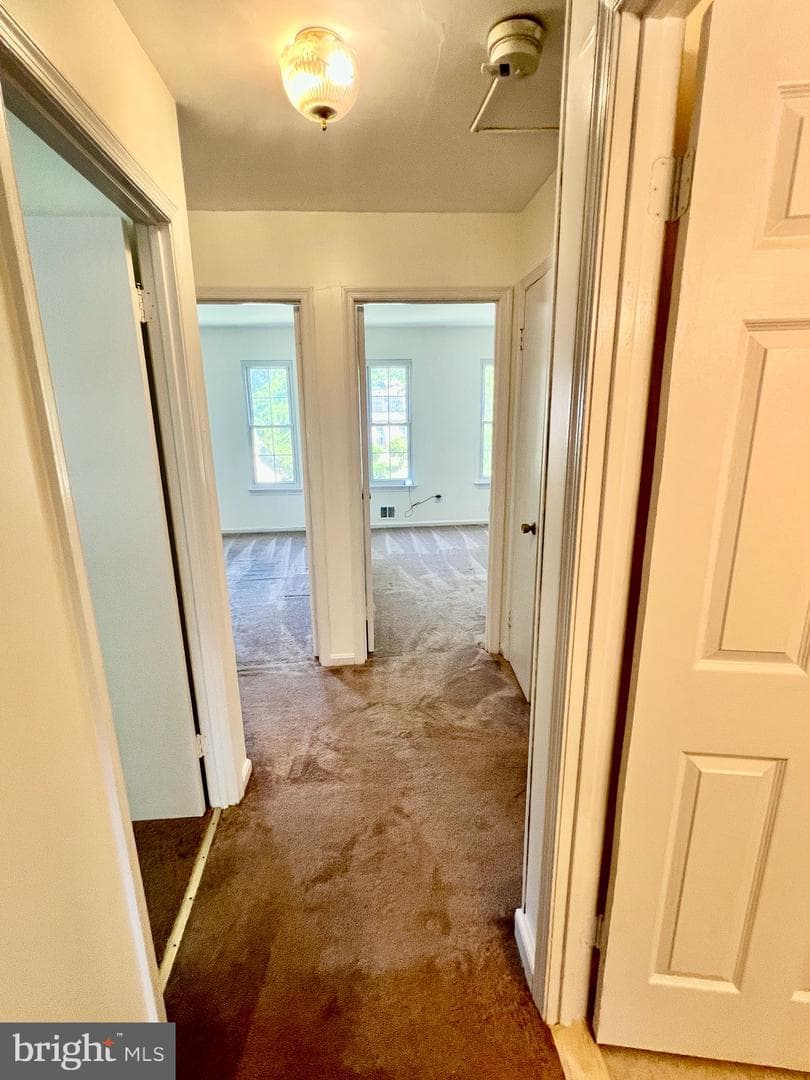 8924 Bluffwood Lane photo 27