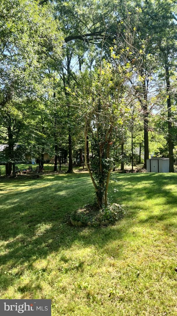 8924 Bluffwood Lane photo 35