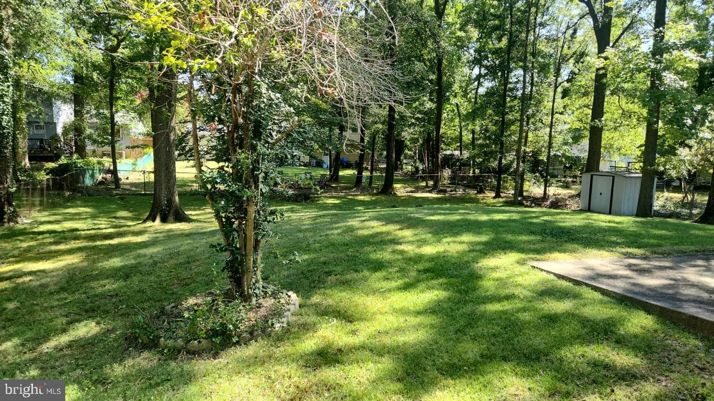 8924 Bluffwood Lane photo 4