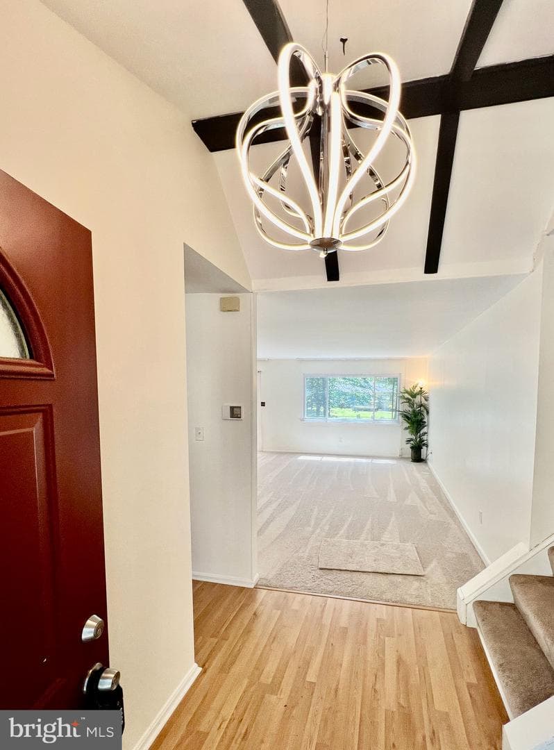 8924 Bluffwood Lane photo 8