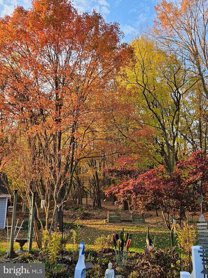 15903 Ann Arbor Court photo 43