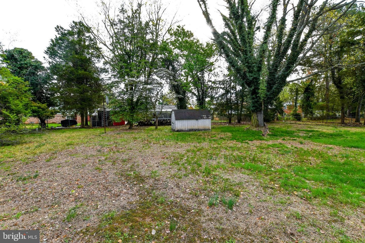 9706 Indian Princess Drive photo 11