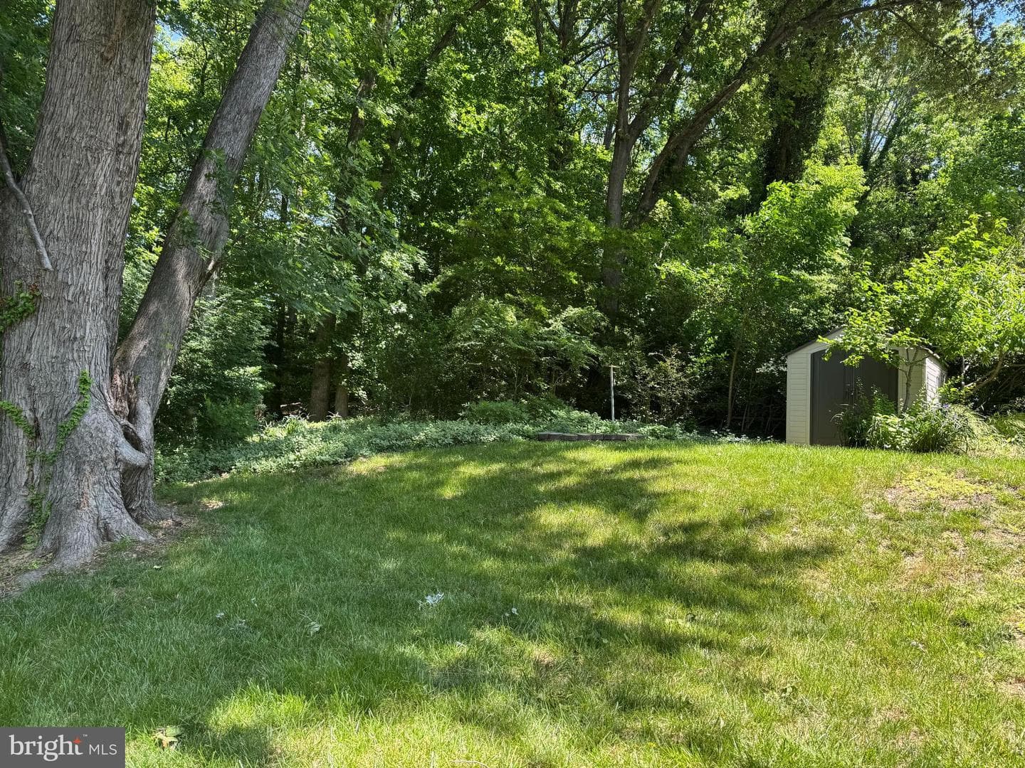 6700 Briarcliff Drive photo 18
