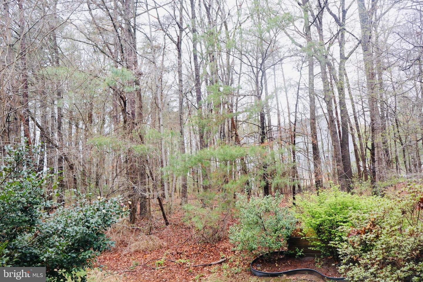 12316 Quilt Patch Lane photo 6