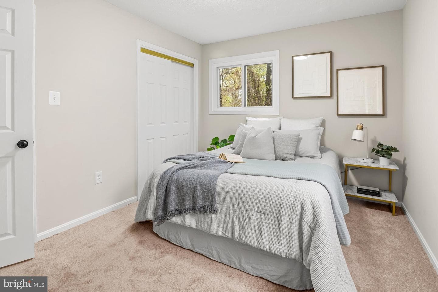 14129 Spring Branch Drive photo 17