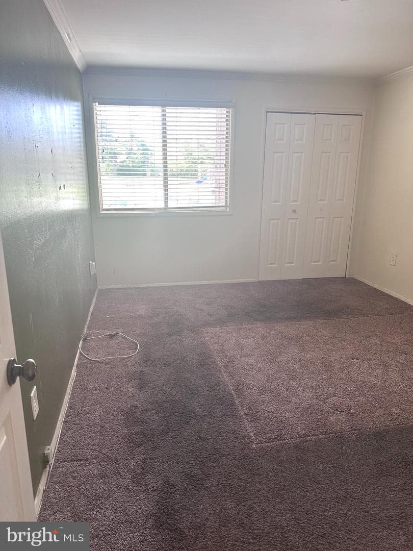 7125 Donnell Place #7125 C4 photo 12