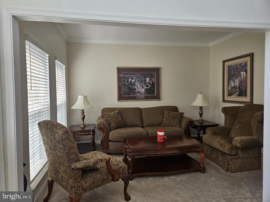 15100 Dunleigh Drive photo 29