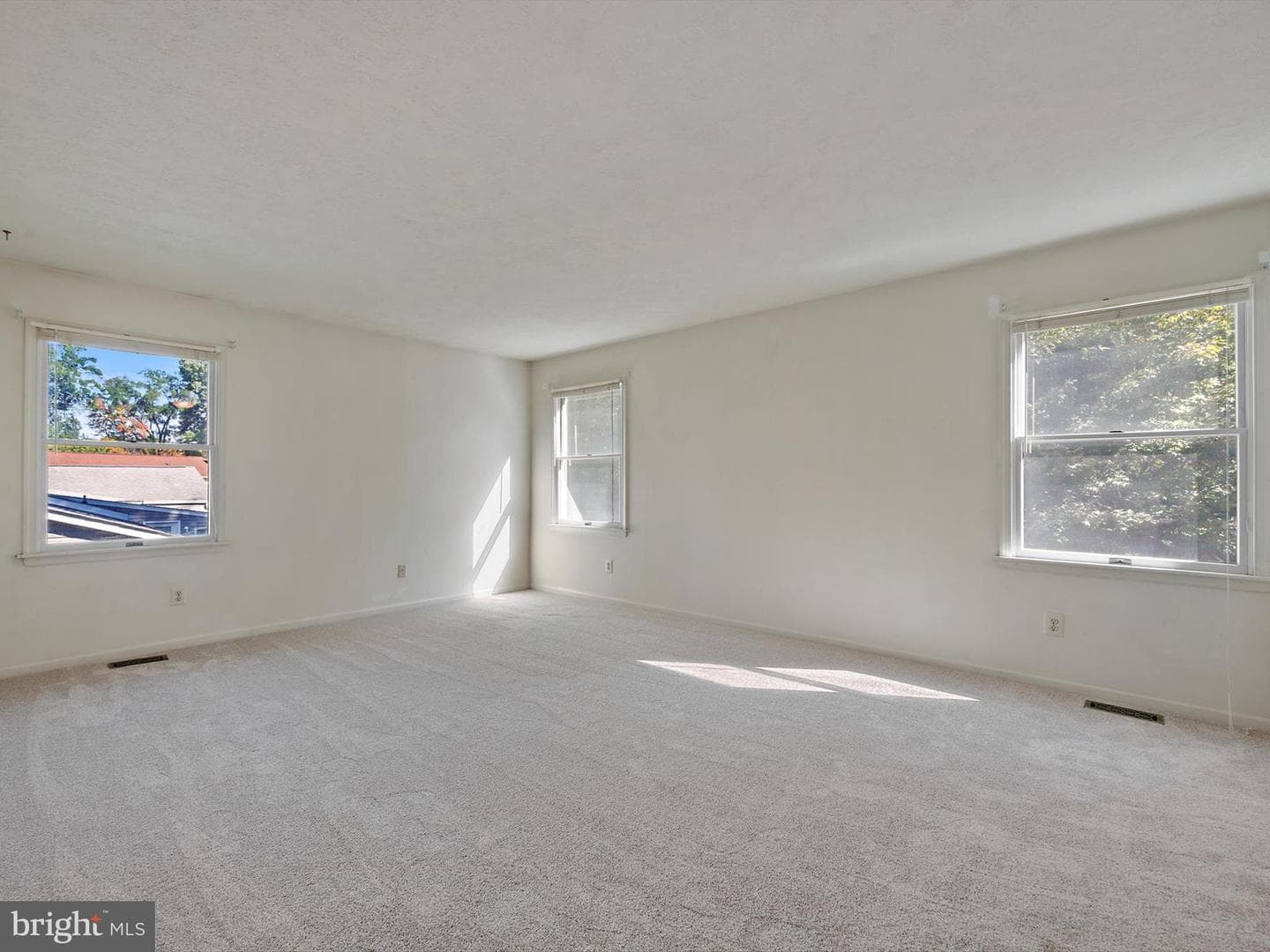 6601 Facchina Lane photo 22